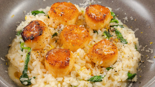 A Symphony of Seaside Delights: Scintillating Scallop Recipes