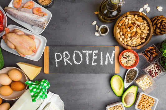 Understanding The Value of Protein in Your Diet