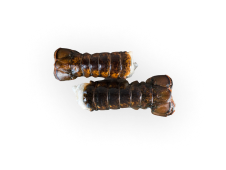 Seafood
