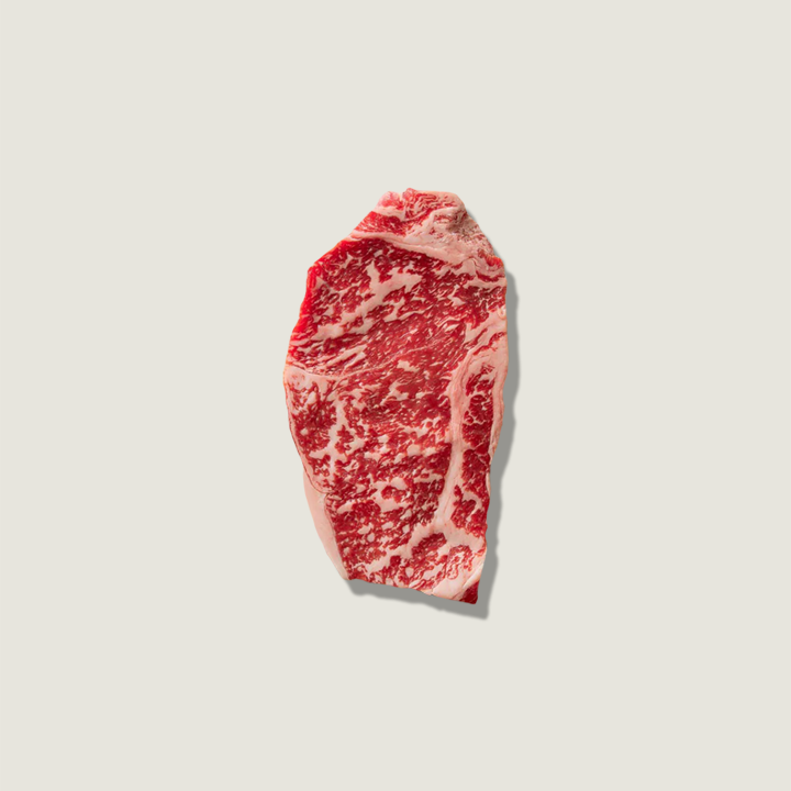 Black Friday Bundle #1