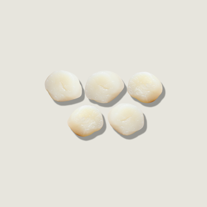 Wild Scallops
