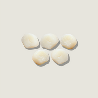 Wild Scallops