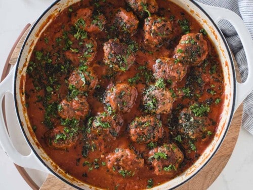 Exquisite and Healthy: 5 Amazing Ground Bison Meat Recipes