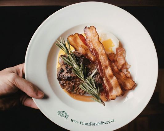 The New Carnivore Guide: A Practical Introduction to a Meat-Focused Diet Supported by Health Professionals