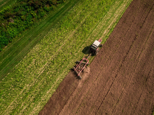 Fork-to-Table Meats: A Sustainable Approach to Meat Consumption