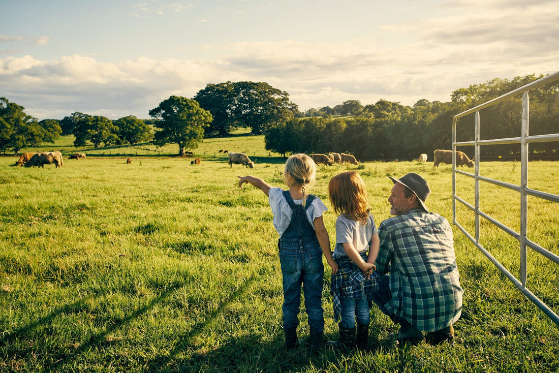 Environmentally Safe Beef