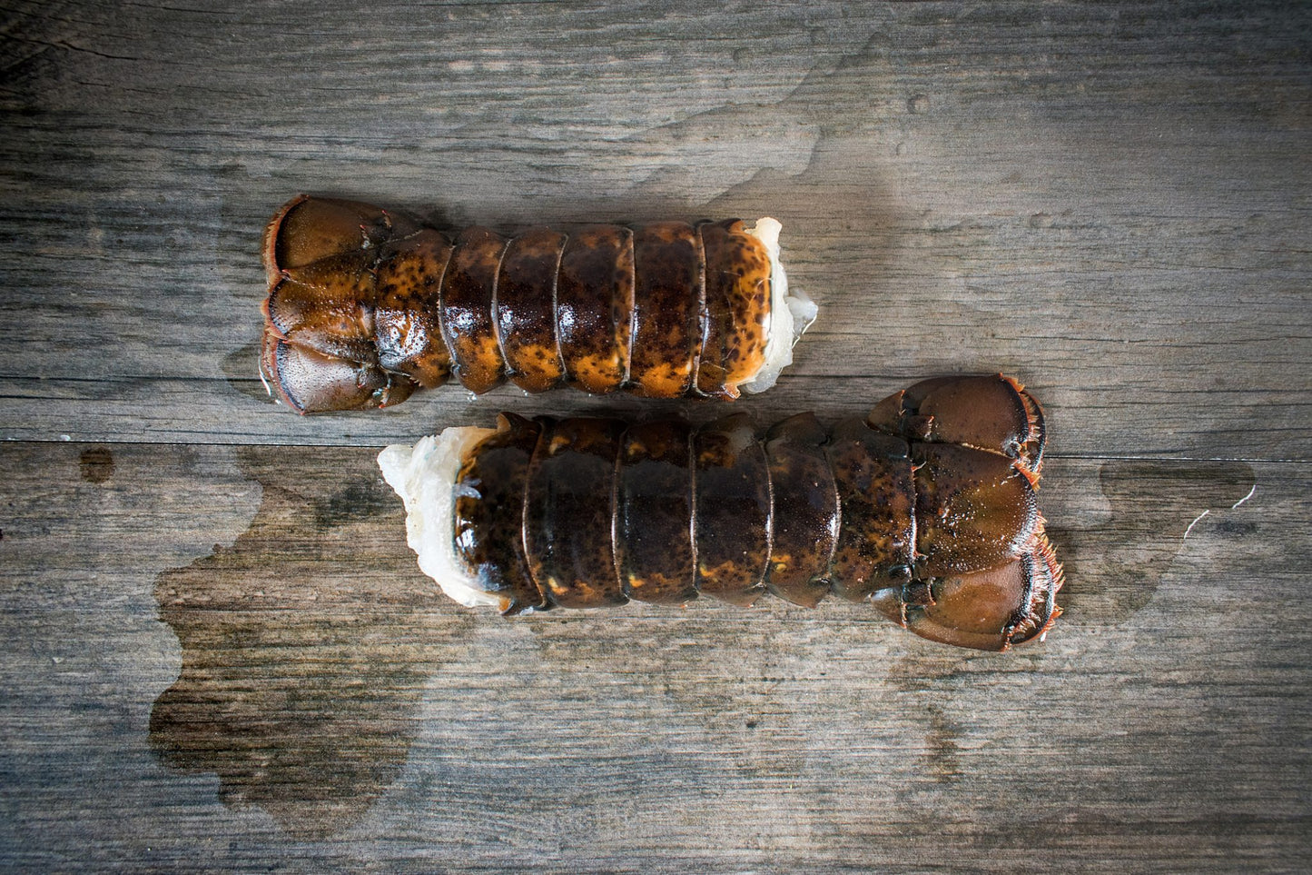 fresh lobster tails